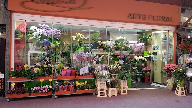 Mercado de la Paz