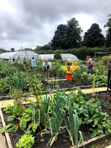 The Alnwick Garden Plant Centre and Nursery - Thumbnail