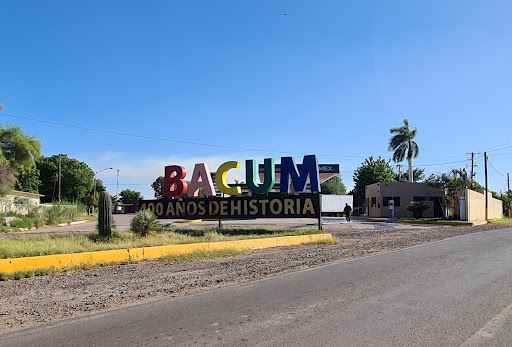 Bacum - Visual