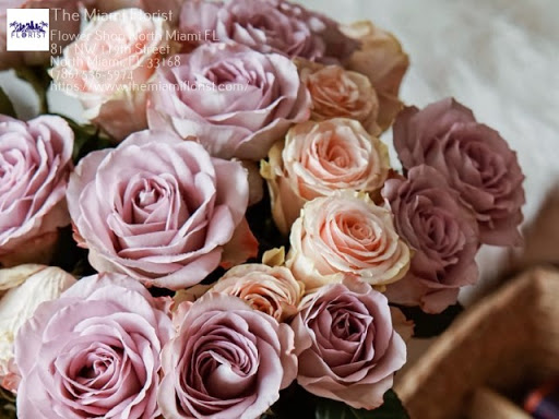 The Miami Florist LLC - Thumbnail