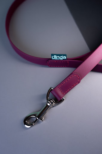 Dinga Pet Design - Thumbnail