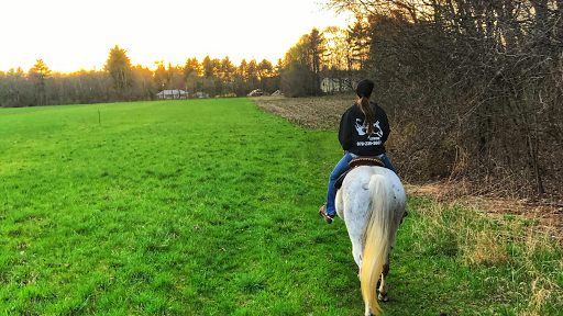 Power and Stride Equestrian Center
