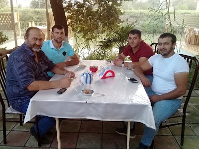 Photos of Butulkalı ev. Bottle House