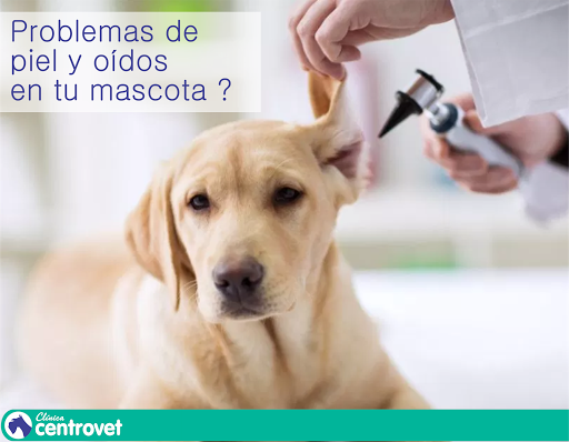 Clínica Veterinaria Centrovet