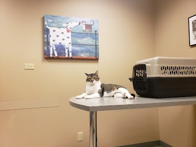 Four Paws Veterinary Clinic