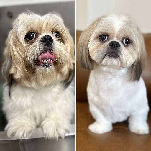 Soulmates Pet Wellness & Beauty