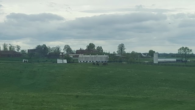 Kearney Hill Golf Links