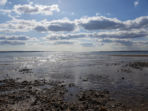 Meon Shore Hide - Thumbnail