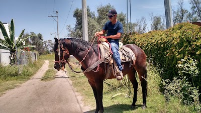 Photos of Adiestramiento canino Granja ENCANES