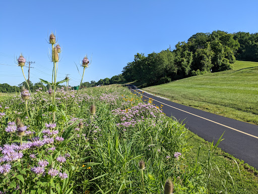 Devola Multi-Use Trail - Visual