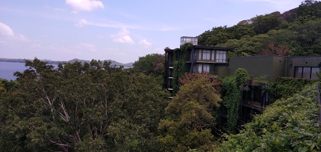 Kandalama Lake Resort