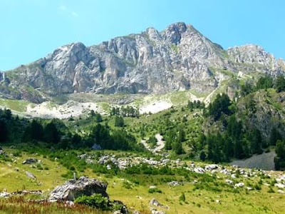 Photos of Pryanik