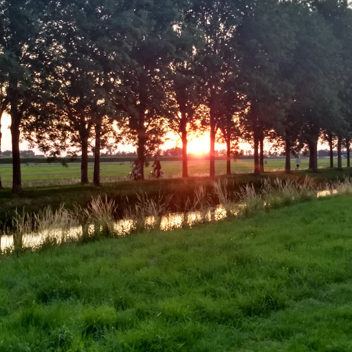 Zijdeweg Noord Gallery - Netherlands