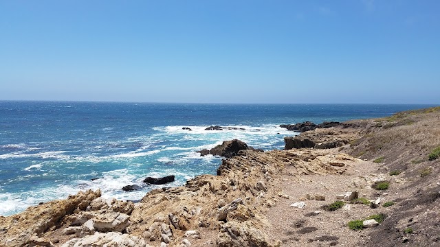 Point Buchon Trail Head