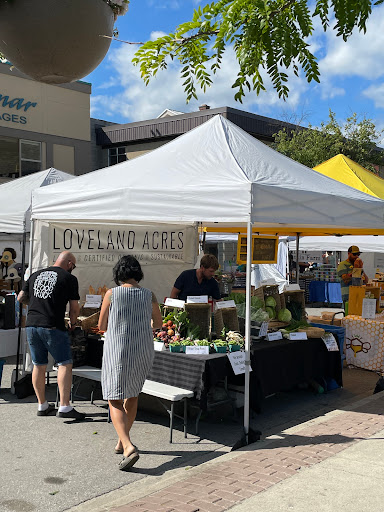 Downtown Salmon Arm Farmers Market - Thumbnail