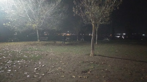 canino Parquesol Alto Park - Thumbnail