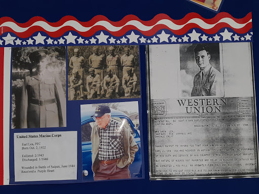 Shell Knob VFW - Visual