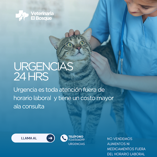 Veterinaria El bosque