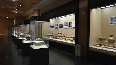 Photos of Anji Ecology Museum