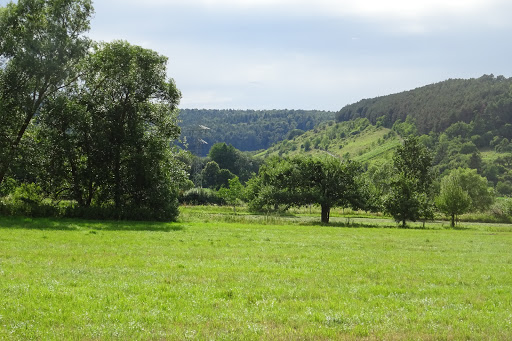 Tauberwiesen - Thumbnail