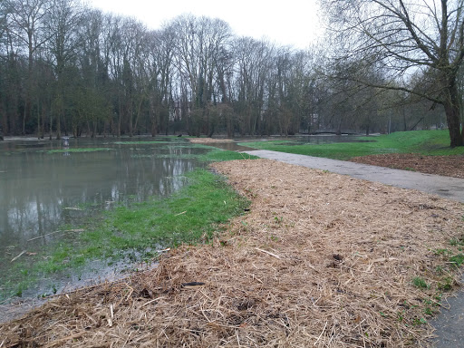 Parc de l'Île de Brunoy - Thumbnail