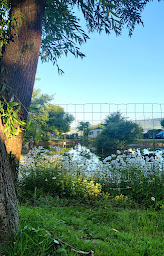 Photo n°23 de CAMPING DES TROLLS à Marquise (Bar à vin)