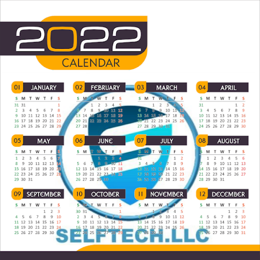 SELFTECH SERVICES LLC - Visual
