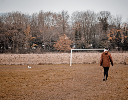 Park Fields - Visual