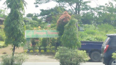 Photos of Puspa Nursery
