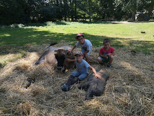 Photo n°14 de Ranch et Ferme du Saut du Loup à Miramont-de-Guyenne (Ferme pédagogique)