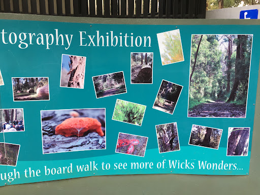 Wicks Reserve Murals - Thumbnail