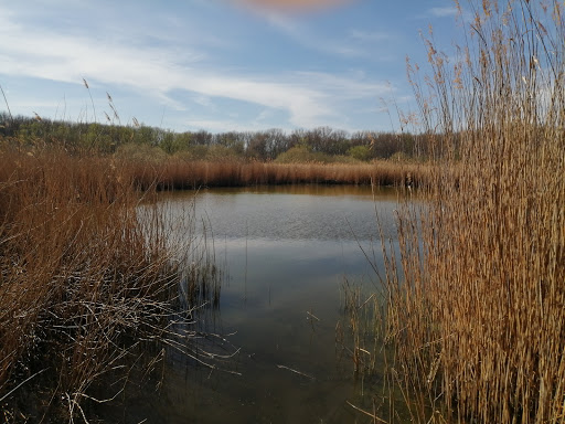 Sieblebener Teich - Visual