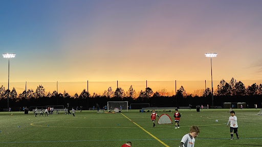 River City Field 6 - Thumbnail