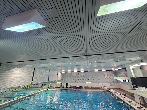 Dalplex - Thumbnail
