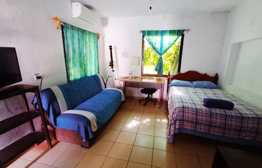 Casa Macuilli - Visual