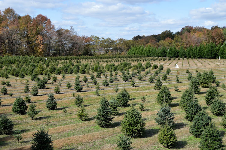 Don's Tree Farm Opens 3/14/26 @ 10 am