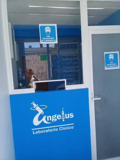 Laboratorio Angelus