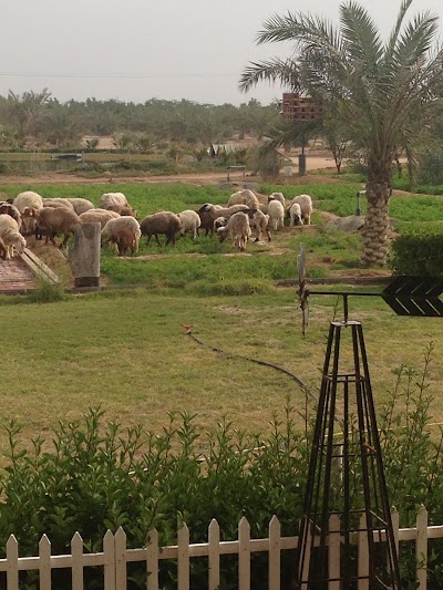 Photos of Adnan Ashkanani Ranch