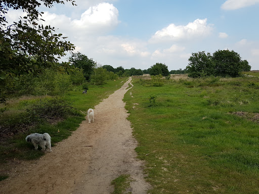 Losloopgebied Ederheide / De Drieberg - Thumbnail