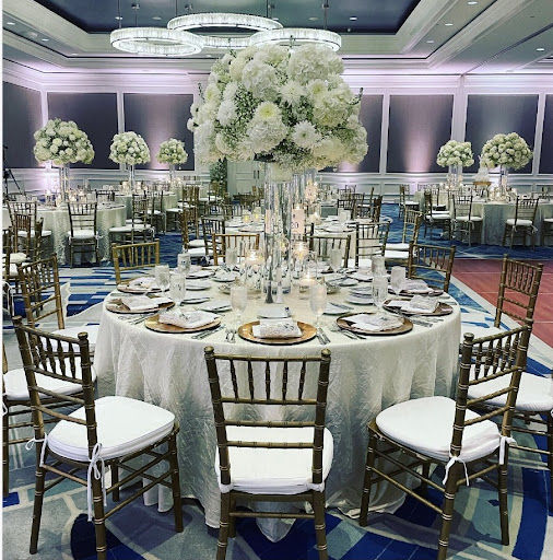 Design By Schell - Visual