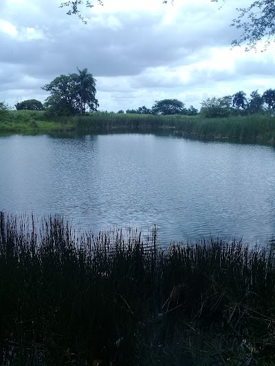 Photos of guerra Park