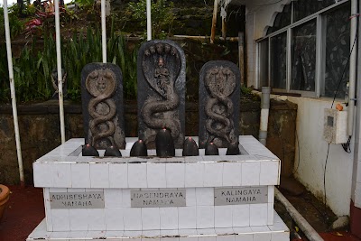 Photos of Shivling