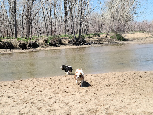 Cherry Creek ​Dog Of​f Leash Area (DOLA) - Thumbnail