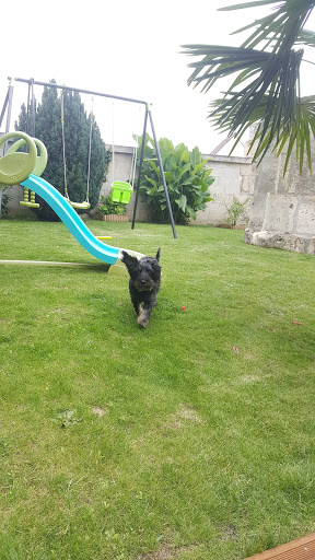 Friends of Beasts of Soissons