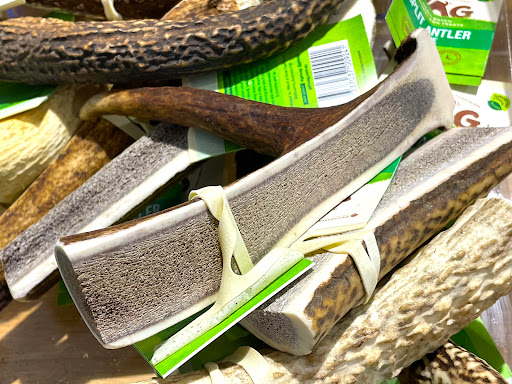 Petbarn Hornsby - Thumbnail