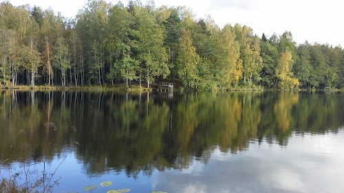 Durbino apžvalgos bokštas