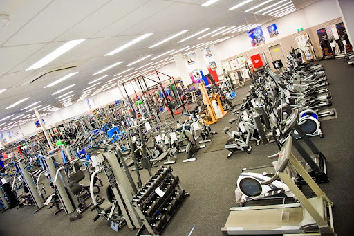 GymQuip Fitness - Thumbnail