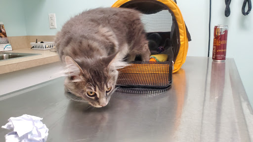 Bayridge Veterinary Hospital - Thumbnail