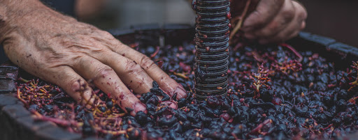samniumwine - Visual