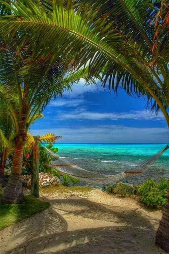 createyoursuccessnow.com - Visual